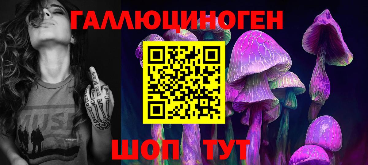 Псилоцибиновые грибы мухоморы  Вход с VPN  Псилоцибиновые грибы GOLDEN TEACHER  Александров 