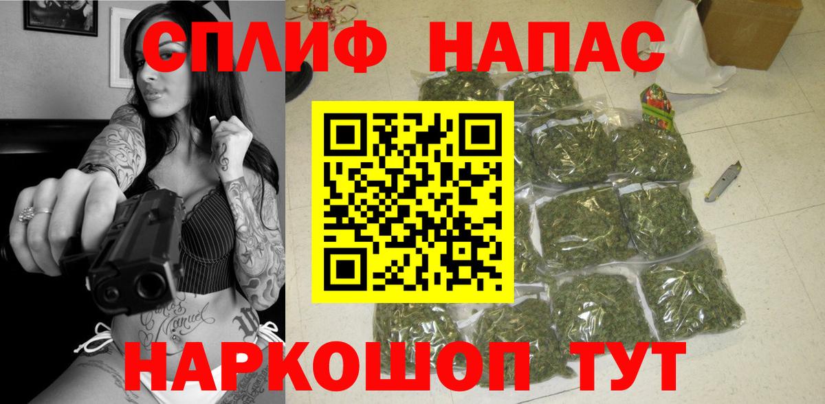 Каннабис индика  Канабис White Widow  Каннабис семена  Александров  Вход с VPN 